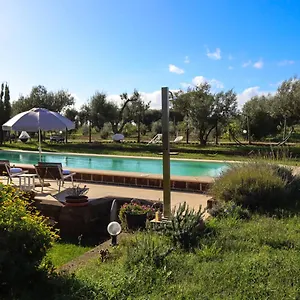  Bed & Breakfast Podere Ficolivo