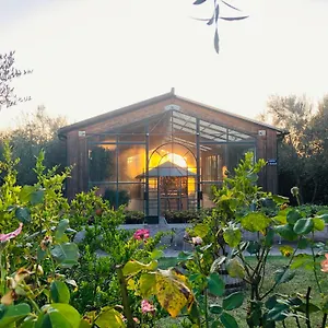  Alloggio per agriturismo Pian De' Somari